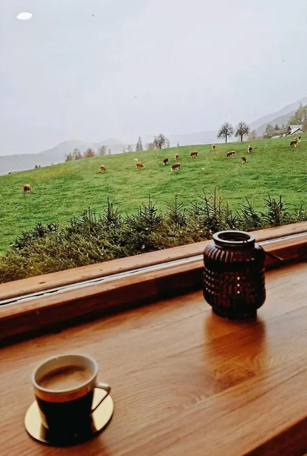 Casa vacanze Lunela Estate With Sauna Cerklje na Gorenjskem